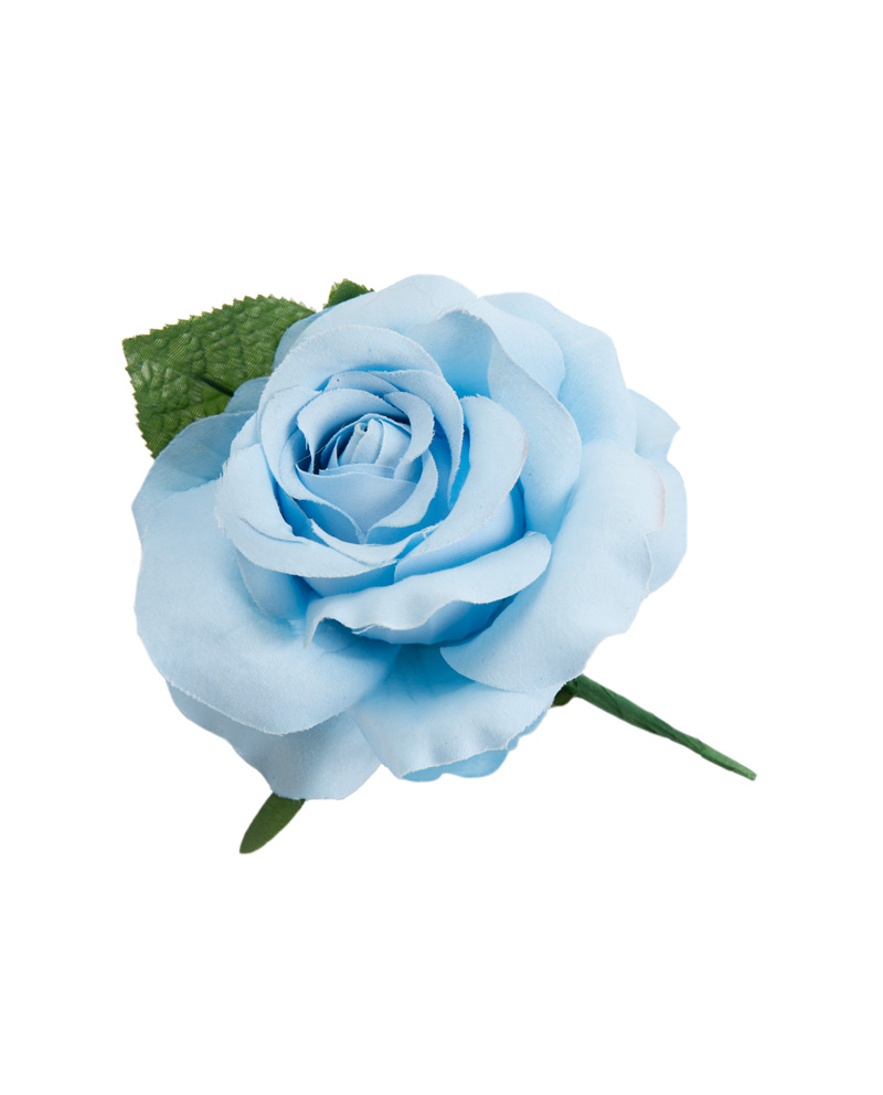 Fleur bleu clair