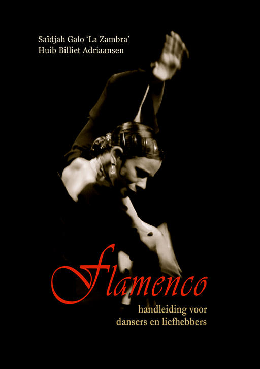 Flamenco - Manuel d'instructions pour danseurs et amateurs de flamenco
