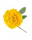 Fleur jaune