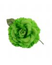 Fleur vert clair