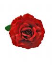 Fleur rouge foncé