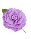Fleur flamenco violet