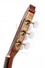 Camps C-14-C guitare à cordes nylon