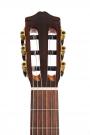 Cordoba C7 guitare à cordes nylon