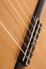 Martin guitare flamenco blanca 2013 No. 45