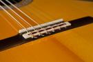 Guitare Flamenca Graciliano Perez negra 2015 concert
