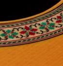 Guitare Flamenca Graciliano Perez negra 2015 concert