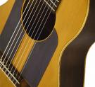 Grand pickguard noir et autocollant