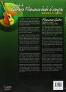Apprendre la guitare flamenca du rythme vol.1