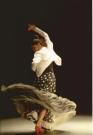 Seguiriya + Tango DVD cours de danse flamenco du conservatoire de Madrid vol 3