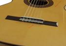 Grand pickguard transparente et autocollant
