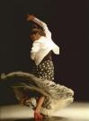 Paquet DVD cours de danse flamenco du conservatoire de Madrid DVD 1 2 3