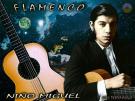 El Niño Miguel partitions guitare