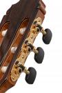Guitare Reyes grand concert flamenco blanca