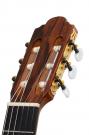 Navarro guitare flamenca épicéa cyprès