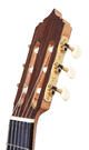 Reyes guitare flamenca (Lazarides)