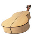 Mijail Kharash guitare flamenca