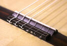 Mijail Kharash guitare flamenca
