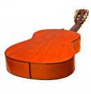 Antonio Torres Dorado guitare flamenca