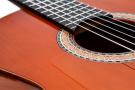 Antonio Torres Dorado guitare flamenca