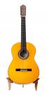 Graciliano Pérez guitare flamenca ovale