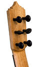 Manuel Reyes guitare flamenca (Lazarides)