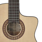 Salvador Cortez guitare flamenco Fishman pick-up