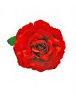 Fleur rouge