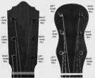 Flamenco chevilles d'accordage démultiplication intégré boutons de palissandre