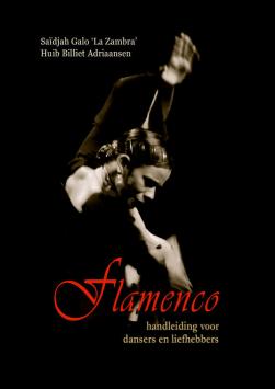Flamenco - Manuel d'instructions pour danseurs et amateurs de flamenco