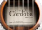 Cordoba C10 CD/IN guitare de cordes en nylon