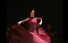 Alegrias + Guajira DVD cours de danse flamenco du conservatoire de Madrid vol 1