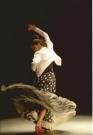 Alegrias + Guajira DVD cours de danse flamenco du conservatoire de Madrid vol 1